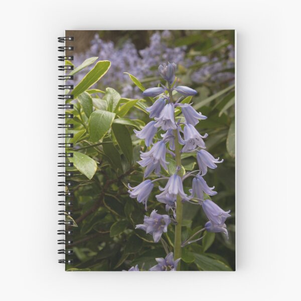 Aperçu de l'œuvre Bluebells créée et vendue par TinyCameraNinja.