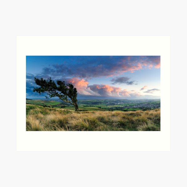 Art Print