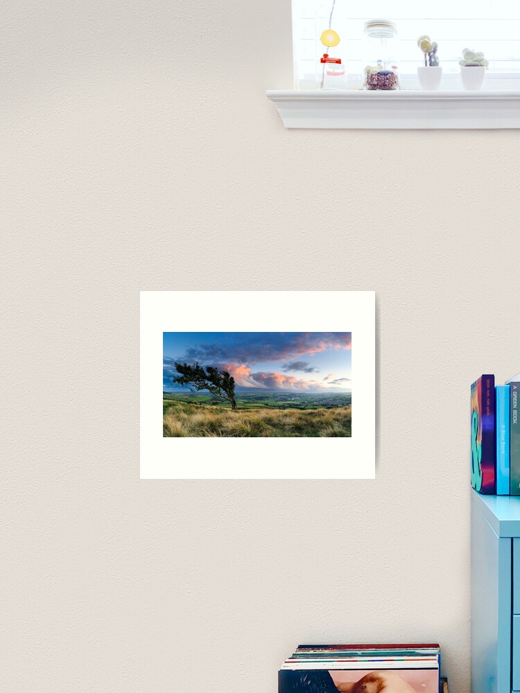 Thumbnail 2 of 3, Art Print, Airedale from Nab End designed and sold by sjbowen.