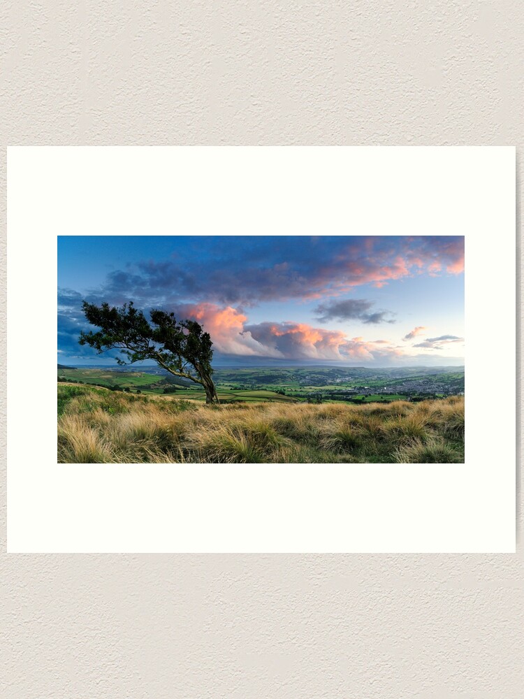 Thumbnail 1 of 3, Art Print, Airedale from Nab End designed and sold by sjbowen.