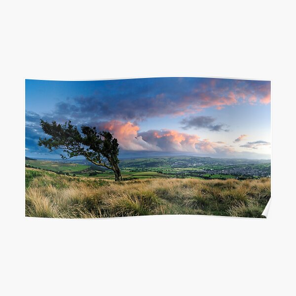 Airedale from Nab End Poster