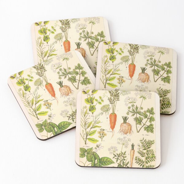 Item preview, Vintage French botanical illustration -  Henri Coupin - Plantes comestibles planche 2 designed and sold by Gardenlibrary.