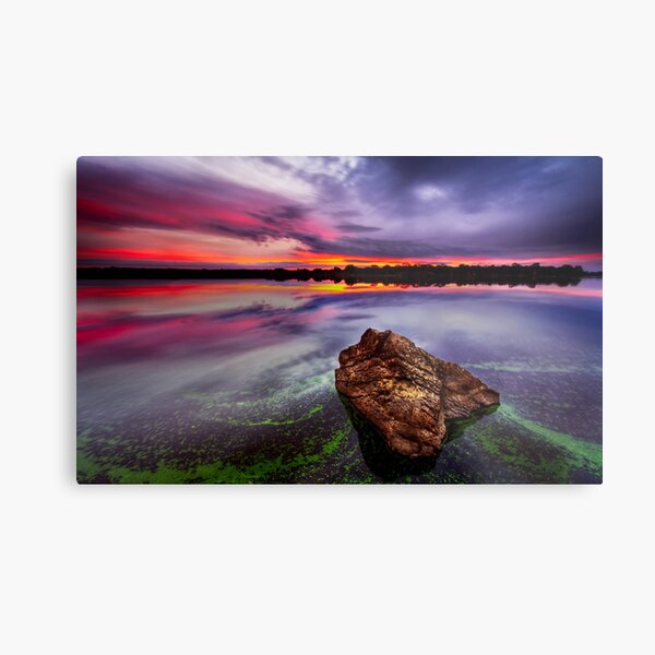 *** Metal Print