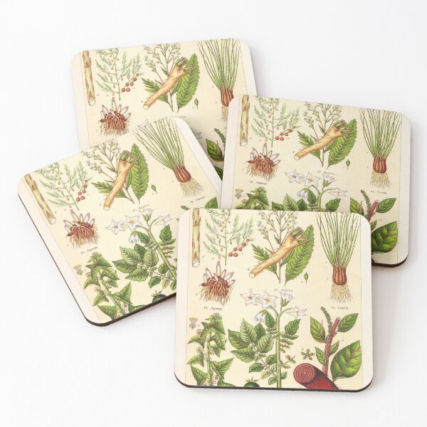Item preview, Vintage French botanical illustration -  Henri Coupin - Plantes comestibles planche 3 designed and sold by Gardenlibrary.