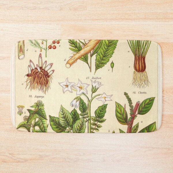 Item preview, Vintage French botanical illustration -  Henri Coupin - Plantes comestibles planche 3 designed and sold by Gardenlibrary.