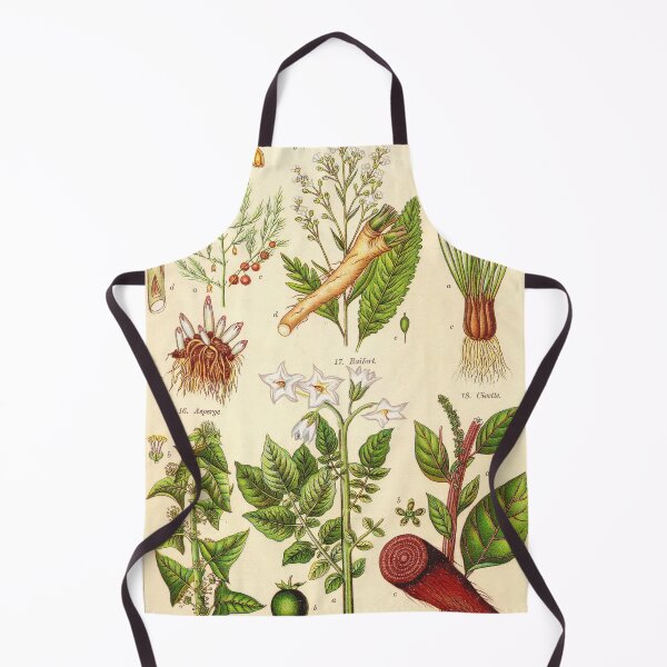 Item preview, Vintage French botanical illustration - Henri Coupin - Plantes comestibles planche 3 designed and sold by Gardenlibrary.