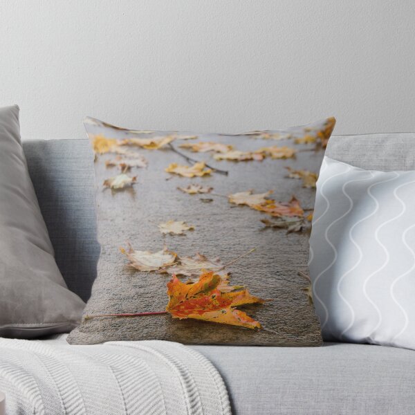 Item preview, Hojas de otoño en la acera designed and sold by TinyCameraNinja.