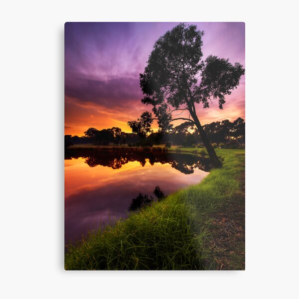 *** Metal Print