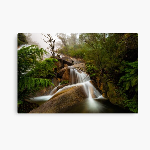 *** Canvas Print
