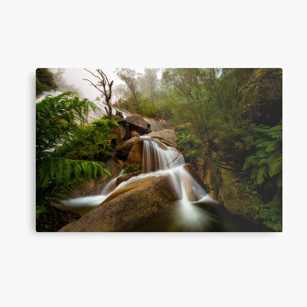 *** Metal Print