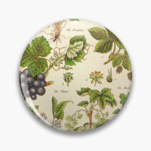 Item preview, Vintage French botanical illustration -  Henri Coupin - Plantes comestibles planche 4 designed and sold by Gardenlibrary.