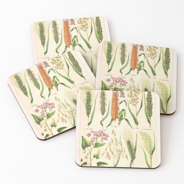 Item preview, Vintage French botanical illustration -  Henri Coupin - Plantes comestibles planche 1 designed and sold by Gardenlibrary.