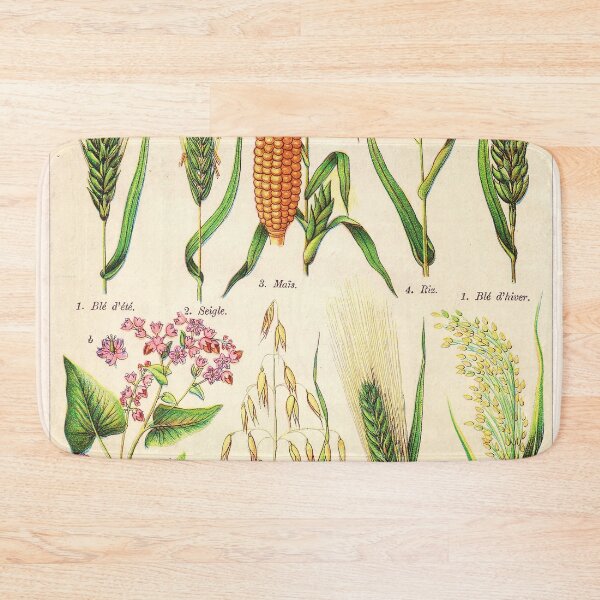 Item preview, Vintage French botanical illustration -  Henri Coupin - Plantes comestibles planche 1 designed and sold by Gardenlibrary.