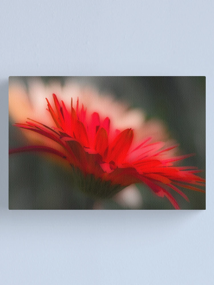 Thumbnail 1 of 3, Canvas Print, Reflection designed and sold by Helenvandy.
