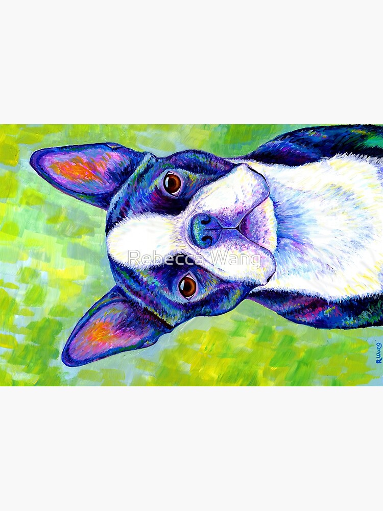 Effervescent - Colorful Boston Terrier Dog by lioncrusher