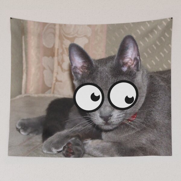 Item preview, Googly Eyed Cat 2 designed and sold by FullonFulton.