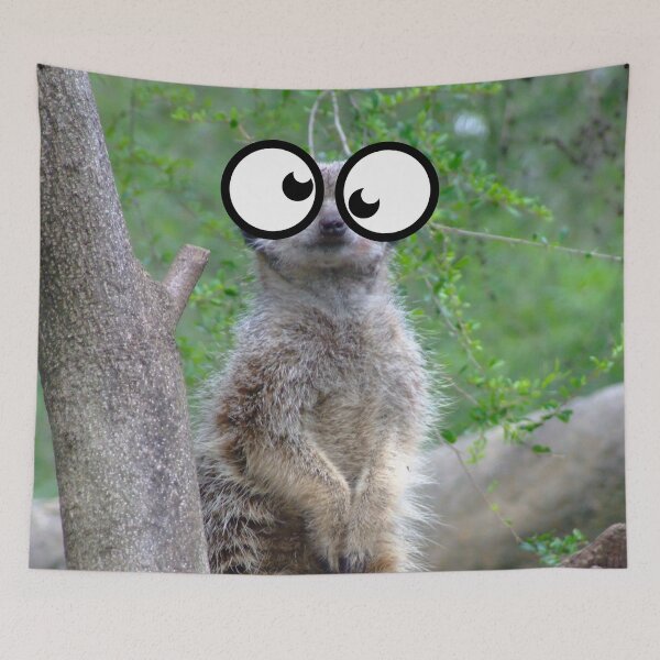 Item preview, Googly Eyed Meerkat designed and sold by FullonFulton.
