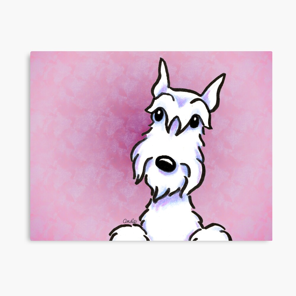 Lamina Fotografica Schnauzer Blanco Escucha De Offleashart Redbubble