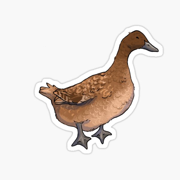 Aperçu de l'œuvre Canard Campbell kaki créée et vendue par eleary.