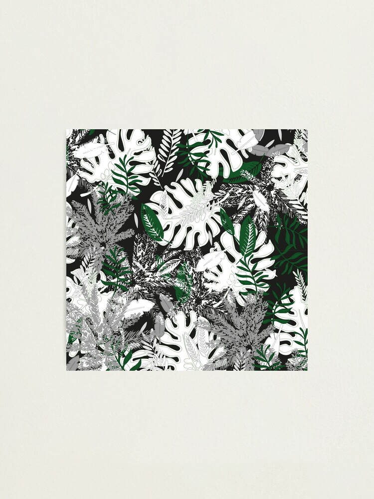 Alternate view of White Monstera Photographic Print