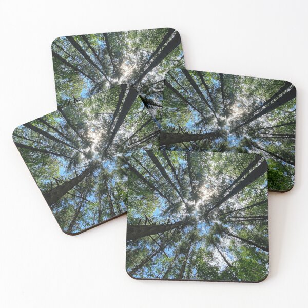 Item preview, Looking up at the Pine Trees designed and sold by HikingBigfoot.