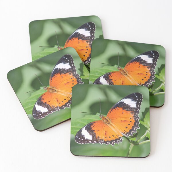 Item preview, Plain Tiger Butterfly (Danaus chrysippus) designed and sold by Wendy Skala.