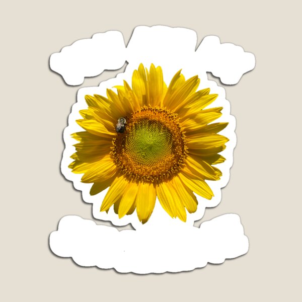 Item preview, You are my Sunshine real Sunflower designed and sold by Bradford Adams.