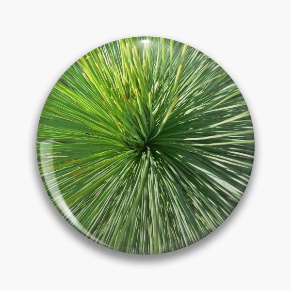 Item preview, Xanthorea australis from above designed and sold by Wendy Skala.
