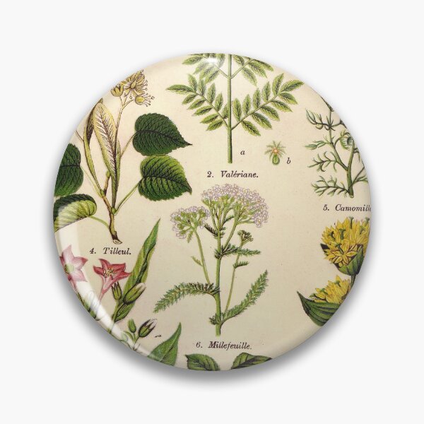 Item preview, French botanical illustration -  Henri Coupin - Plantes medicinales planche 1 designed and sold by Gardenlibrary.
