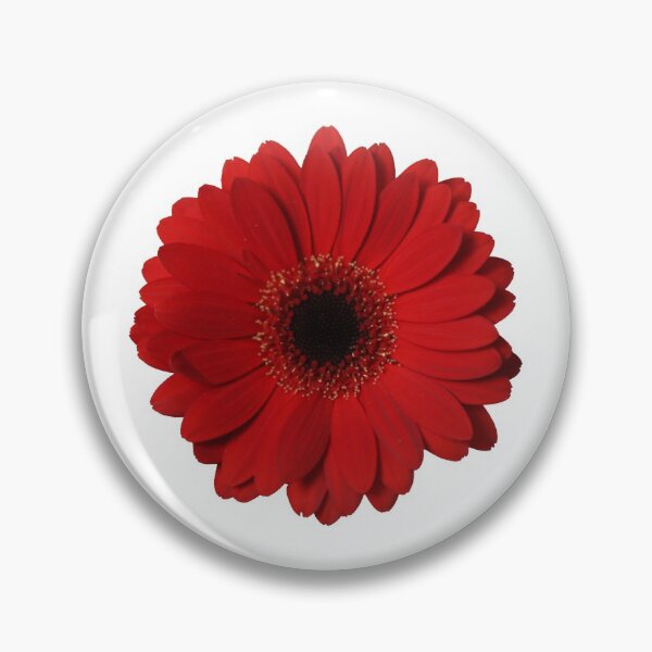 Item preview, Red Gerbera on White designed and sold by STHogan.