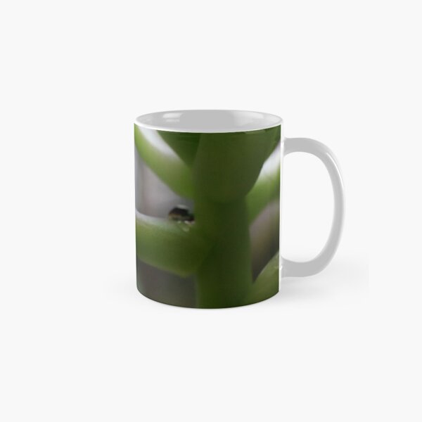 succulent raindrop Classic Mug