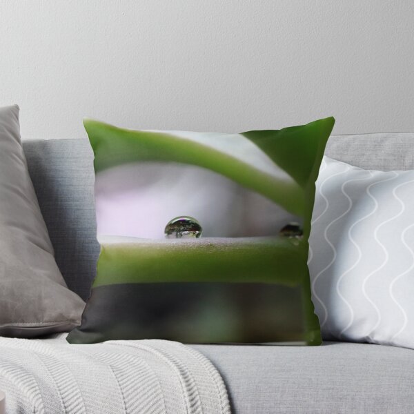 Item preview, succulent raindrop designed and sold by DPSPHOTOGRAPHY.