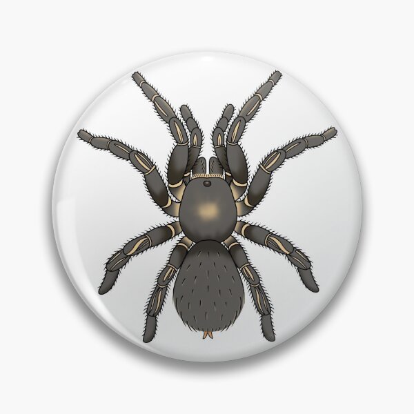 Item preview, a seemanni tarantula designed and sold by despresso.