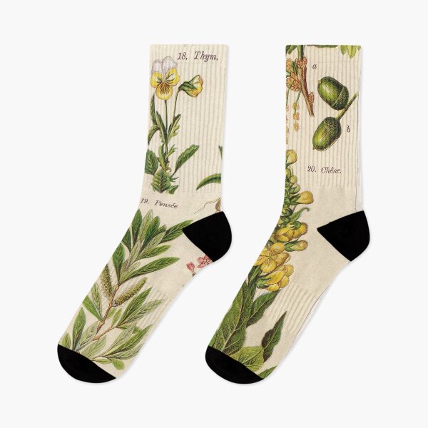 Item preview, French botanical illustration -  Henri Coupin - Plantes medicinales planche 3 designed and sold by Gardenlibrary.