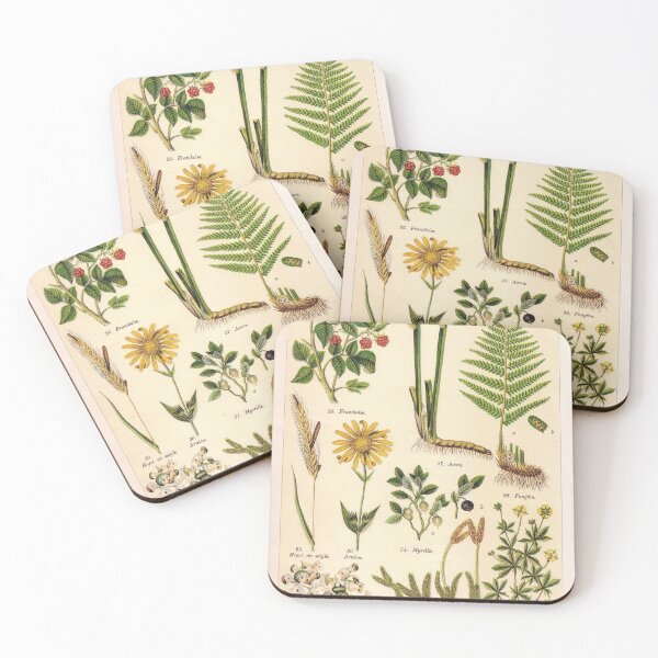 Item preview, French botanical illustration - Henri Coupin - Plantes medicinales planche 4 designed and sold by Gardenlibrary.
