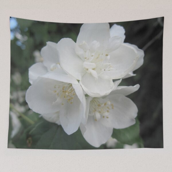 Item preview, White cherry blossom flowers designed and sold by stina-bee.