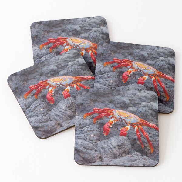 Item preview, Galapagos Sally Lightfoot Crab designed and sold by SafariByMarisa.