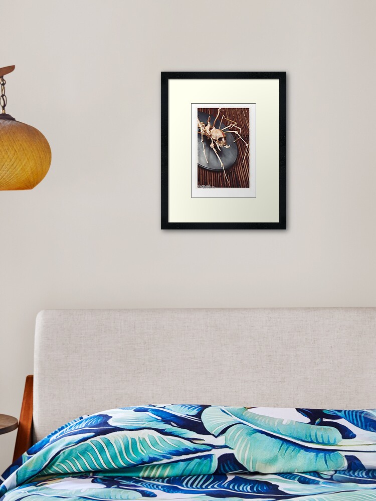 Thumbnail 1 of 7, Framed Art Print, spider monkey taxidermy photograph designed and sold by resonanteye.
