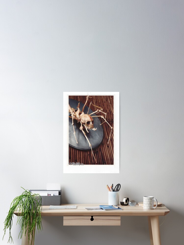 Thumbnail 1 of 3, Poster, spider monkey taxidermy photograph designed and sold by resonanteye.