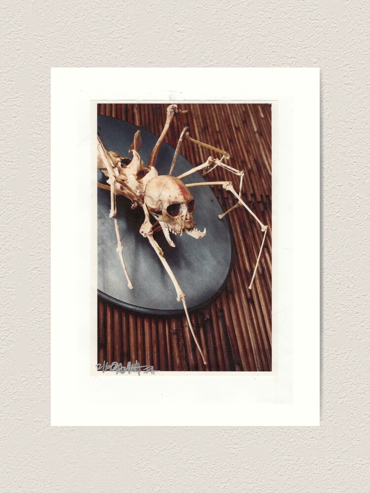 Thumbnail 2 of 3, Art Print, spider monkey taxidermy photograph designed and sold by resonanteye.