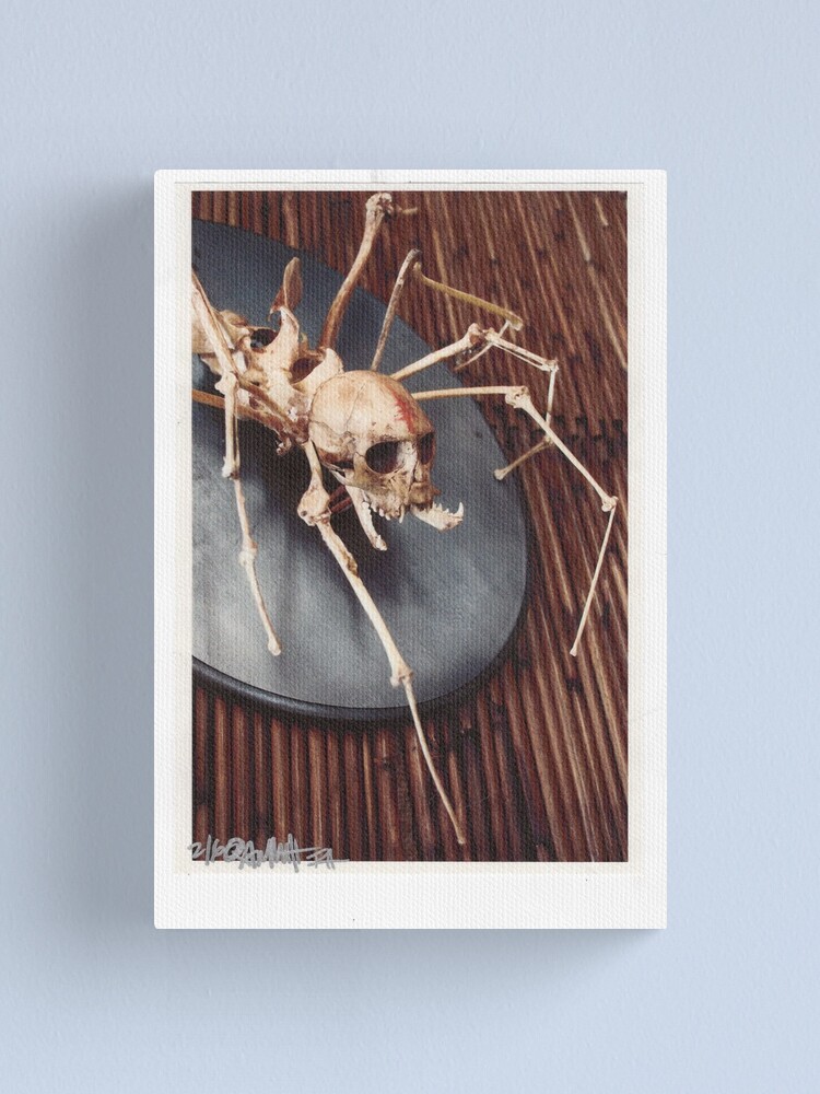 Thumbnail 2 of 3, Canvas Print, spider monkey taxidermy photograph designed and sold by resonanteye.