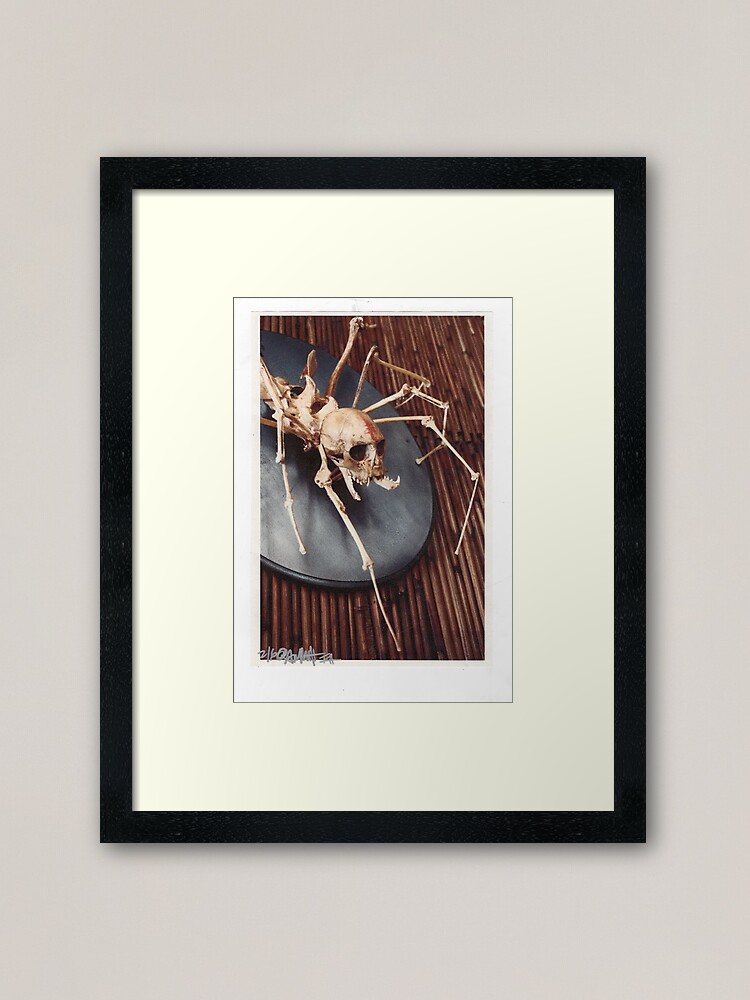 Thumbnail 2 of 7, Framed Art Print, spider monkey taxidermy photograph designed and sold by resonanteye.