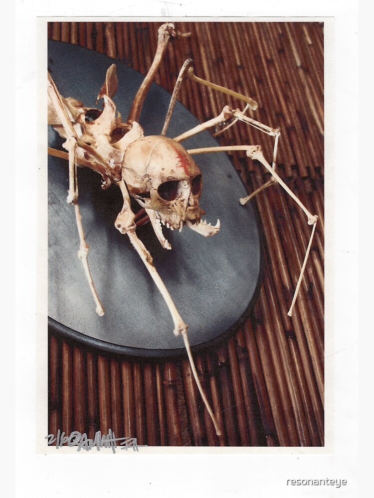 Thumbnail 7 of 7, Framed Art Print, spider monkey taxidermy photograph designed and sold by resonanteye.