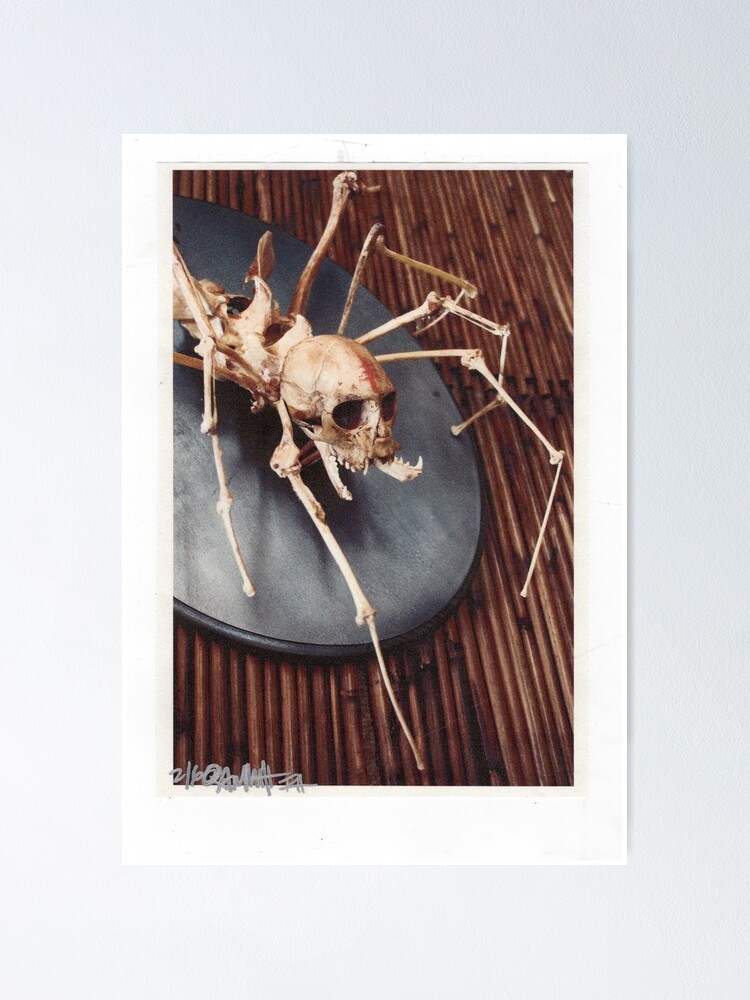 Thumbnail 2 of 3, Poster, spider monkey taxidermy photograph designed and sold by resonanteye.