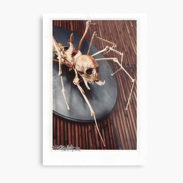 Metal Print