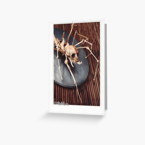 Greeting Card