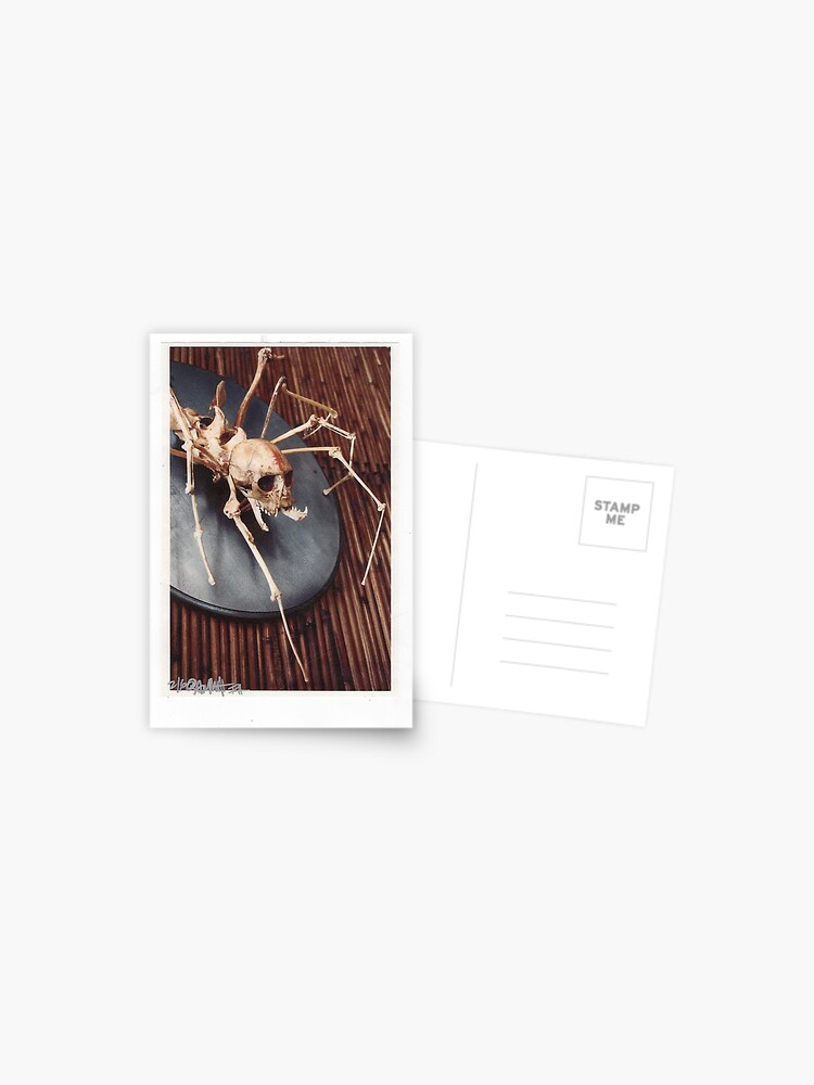 Thumbnail 1 of 2, Postcard, spider monkey taxidermy photograph designed and sold by resonanteye.
