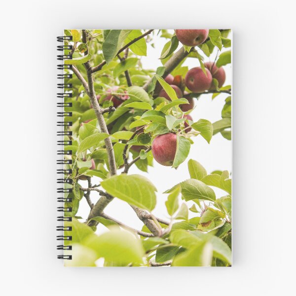Item preview, Ripe red apple in tree designed and sold by stina-bee.