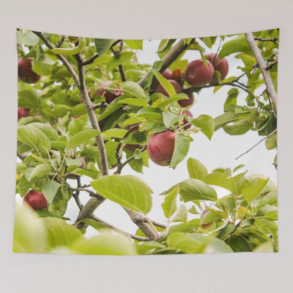 Item preview, Ripe red apple in tree designed and sold by stina-bee.