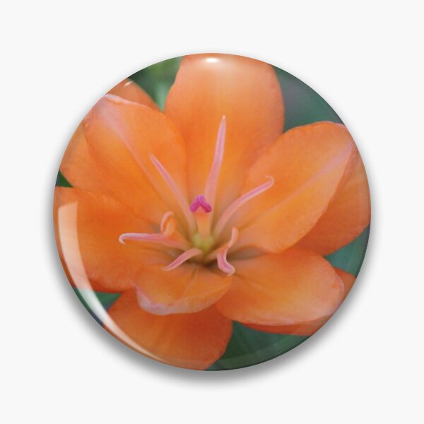 Item preview, Orange lily flower designed and sold by stina-bee.